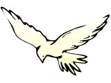 Dove, symbol of the Spirit